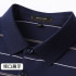 Pierre Cardin Men's Blue Striped Polo Shirt – Regular Fit PL51TSA129Z790